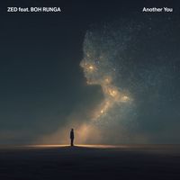 ZED - Another You (feat. Boh Runga)