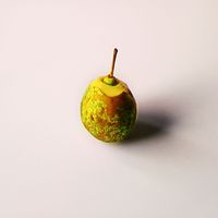 Riekko Salama - Omena
