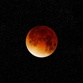 KALIA - Nothing Hurts but Everything Does