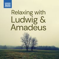 Ludwig van Beethoven, Wolfgang Amadeus Mozart - Relaxing With Ludwig & Amadeus