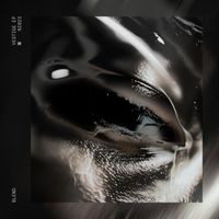 blend - Vestige