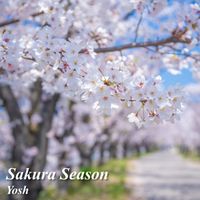 Yosh - Sakura Season