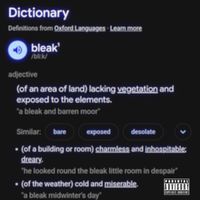 Adrian Leo - Bleak (Explicit)