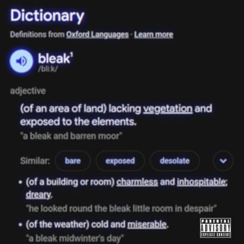 Adrian Leo - Bleak (Explicit)