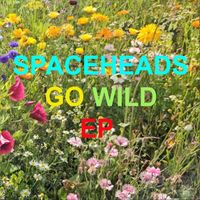 Spaceheads - Go Wild - EP