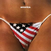 The Black Crowes - amorica. (Deluxe Edition)