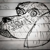 81XPG - Tight and Low