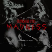 Drowning Pool - MADNESS (Explicit)