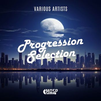 Various Artists - Progression Selection 16