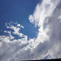 Karl - Things You Had To Say