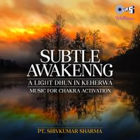 Pandit Shivkumar Sharma - Subtle Awakening
