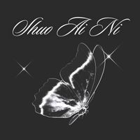 Wei Wei - Shuo Ai Ni