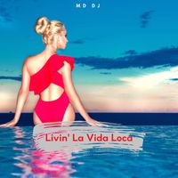 MD Dj - Livin' La Vida Loca