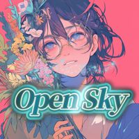 ASR - Open Sky