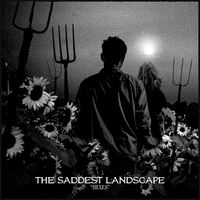 The Saddest Landscape - Hexes