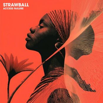 Strawball - Access Failure