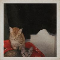 Mo - Pragati's Song