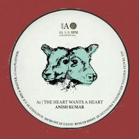 Anish Kumar - The Heart Wants a Heart