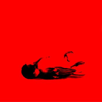 nowhereman - BIRDIE