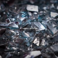 RanchaTek - I Need Some...