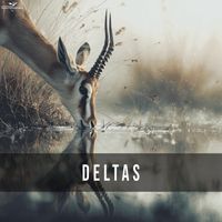 Soundcritters - Deltas