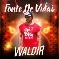 Waldir - Fonte De Vidas