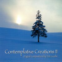 Tom Jacobs - Contemplative Creations II