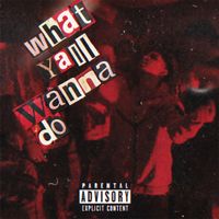 Hydro - WHAT YALL WANNA DO (Explicit)