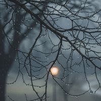 DANY - 미안했다고 (Said I'm sorry)