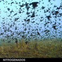 Nitrogenados - Blister
