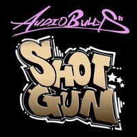 Audio Bullys - Shotgun (Basher Remix)
