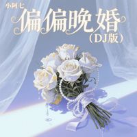 小阿七 - 偏偏晚婚 (DJ版)