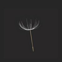 Nikonn - Never Be Apart