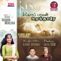 Sharon Merlena - Singaara Paalan Piranthaarae