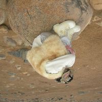 saga - 23 (Explicit)