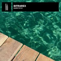 BSH - Codek