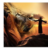 wil - tu es minha rocha