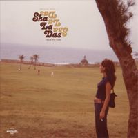 The Sha La Das - If You Want You Can Be My Girl