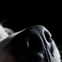 Roger Waters - Money (Explicit)