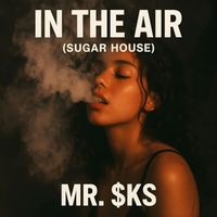 MR. $KS - In The Air (Sugar House)