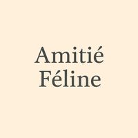 Mj - amitié féline