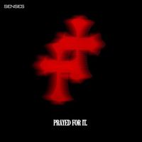 Senses - Prayed for It.
