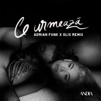 Andia - Ce urmeaza (Adrian Funk & Olix Remix)