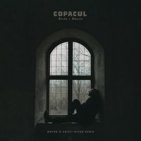 Spike - Copacul (Motzu & Cristi Nitzu Remix)