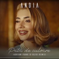 Andia - Pata de culoare (Adrian Funk X Olix Remix)