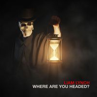 Liam Lynch - Where Are You Headed (Explicit)