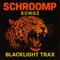 Schroomp - Song 2
