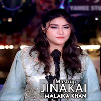 Malaika Khan - Jinakai ( Mashup )