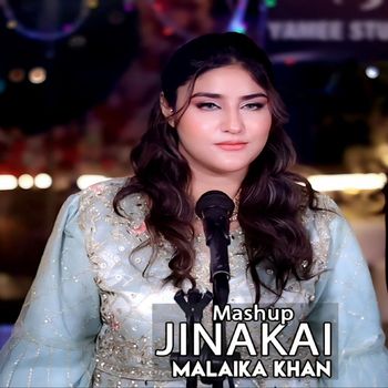 Malaika Khan - Jinakai ( Mashup )