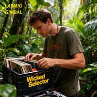 Labmig & Gimbal - Wicked Selector